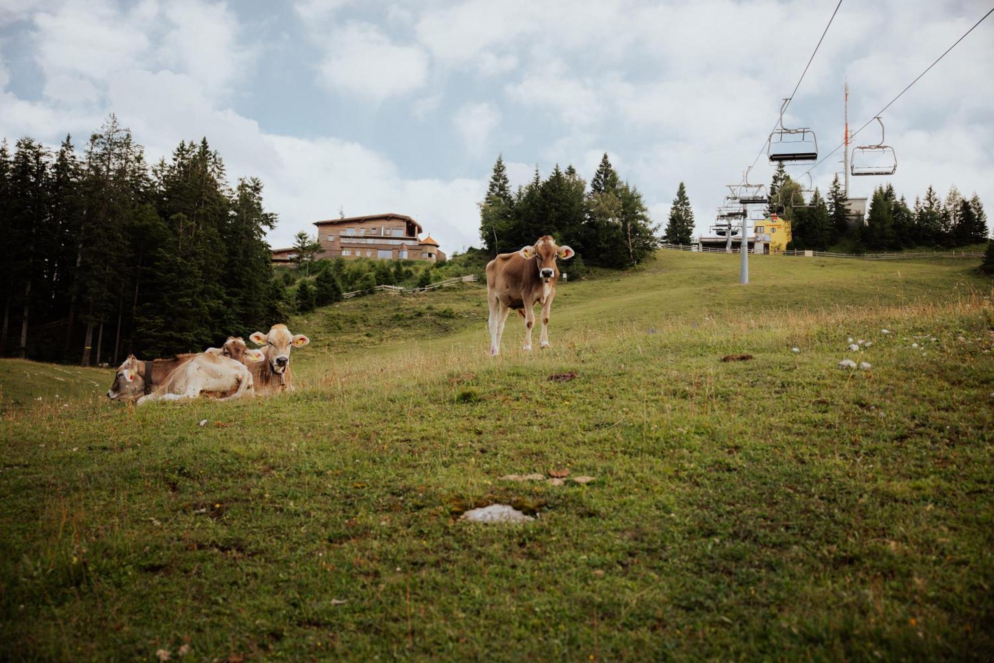 Chalet G12 - Mountain Luxury Apartments Seefeld in Tirol Exterior foto