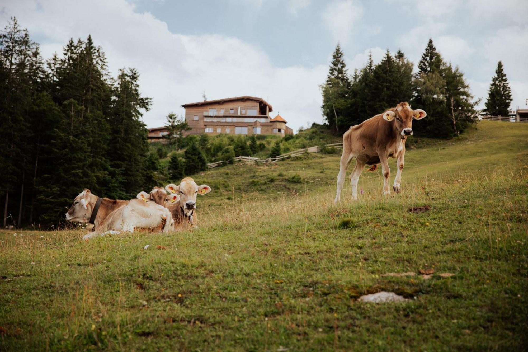 Chalet G12 - Mountain Luxury Apartments Seefeld in Tirol Exterior foto